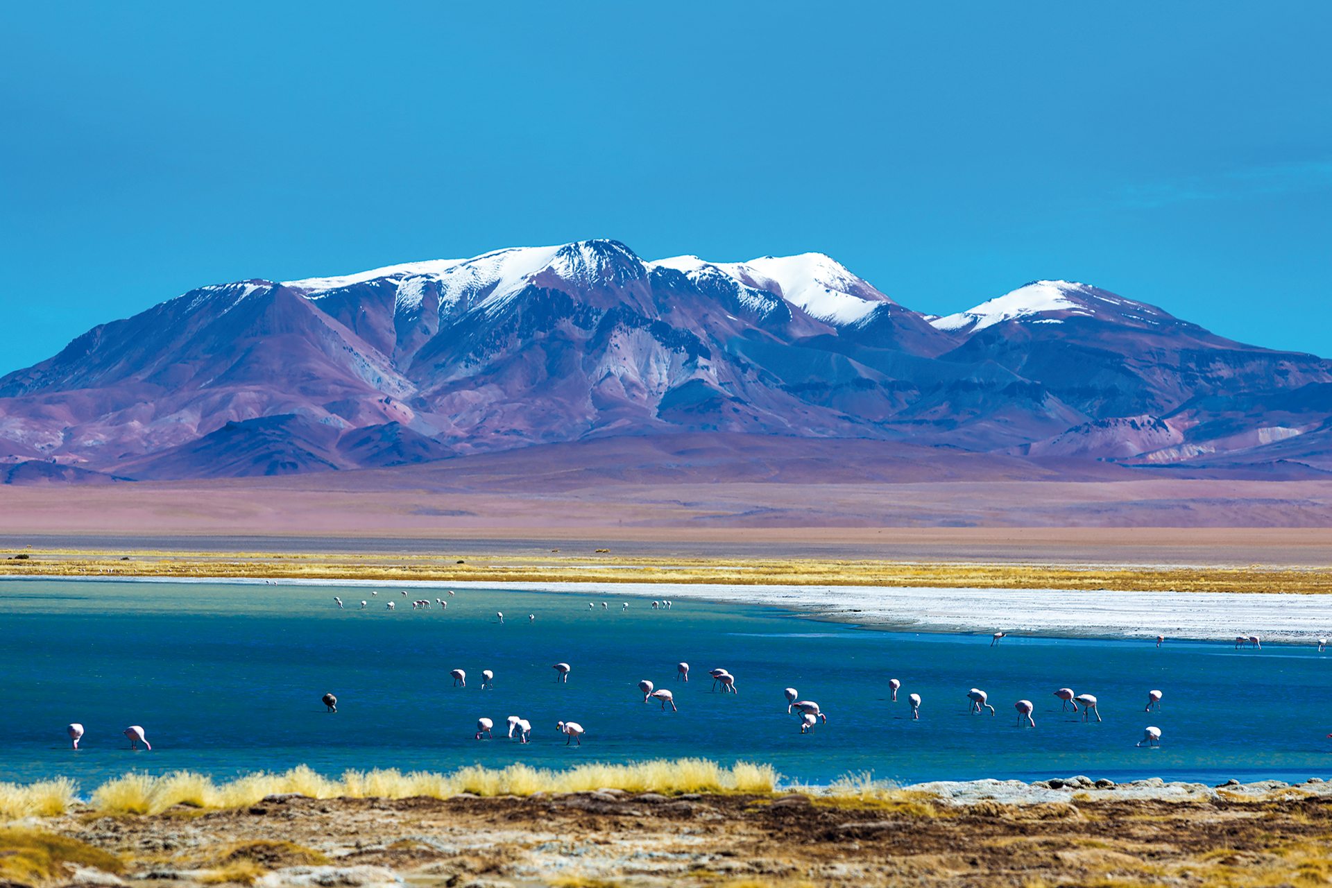 Atacama