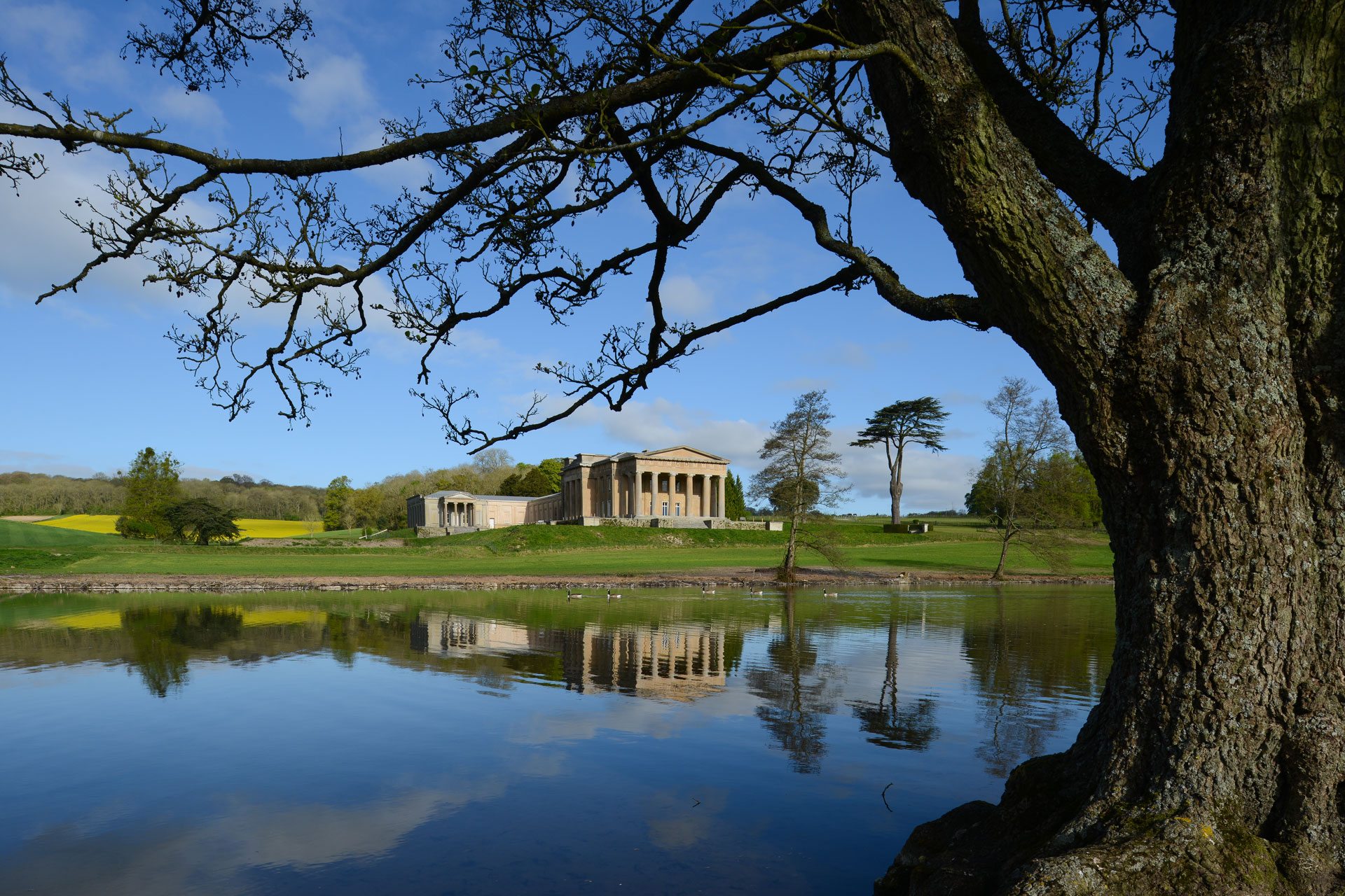 The Grange, photo: Joe Low