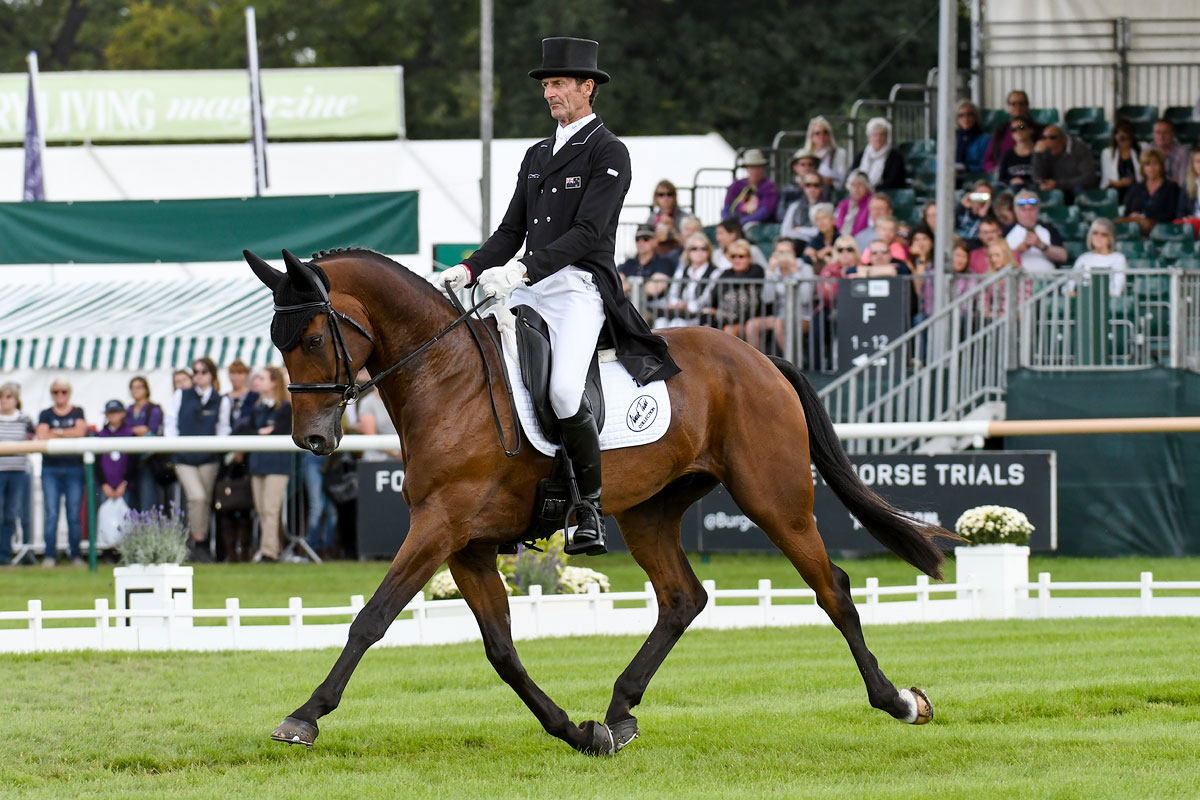 dressage
