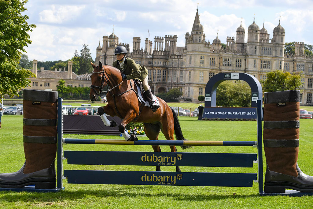 horse jump