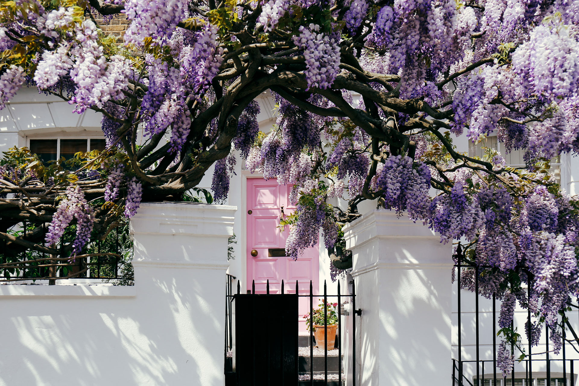 How to Celebrate the Beginning of Spring