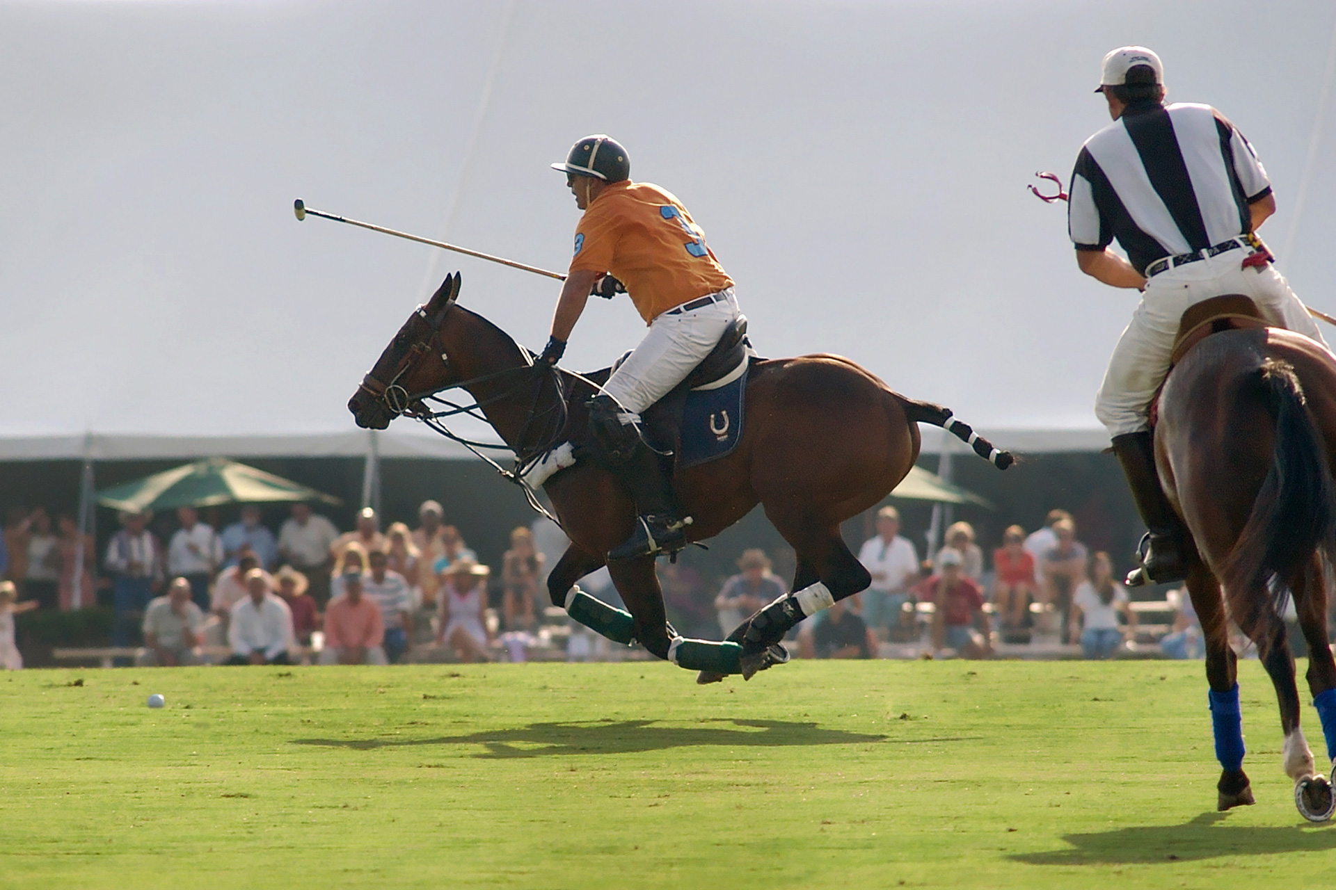 The C&TH Guide To Polo Season