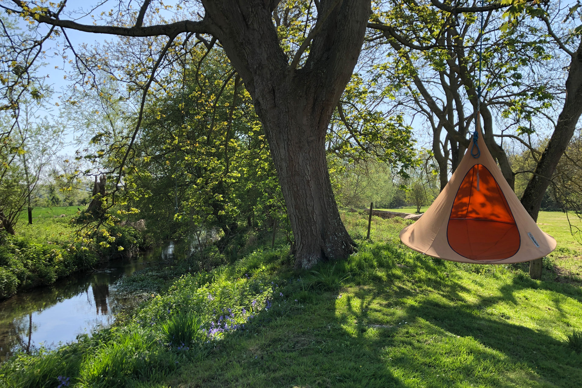 In The Garden With... David Harber