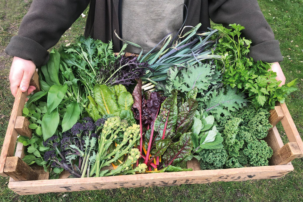The Pig produce