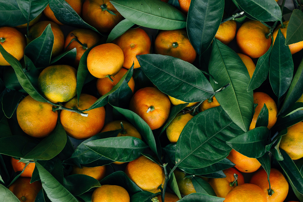 Fruit of the Week: Oranges