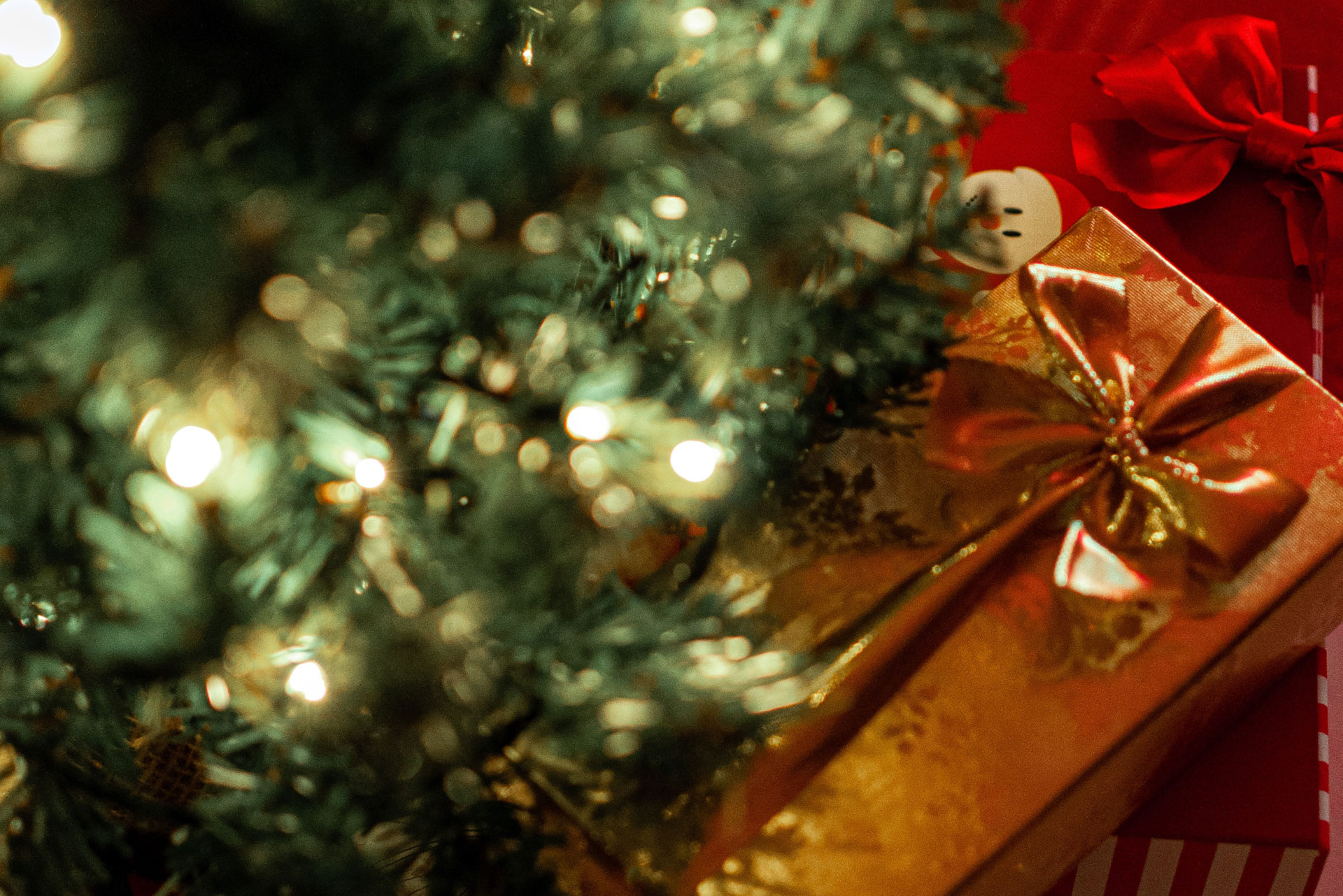Get Crafty: Guy Salter's Christmas Gift Ideas