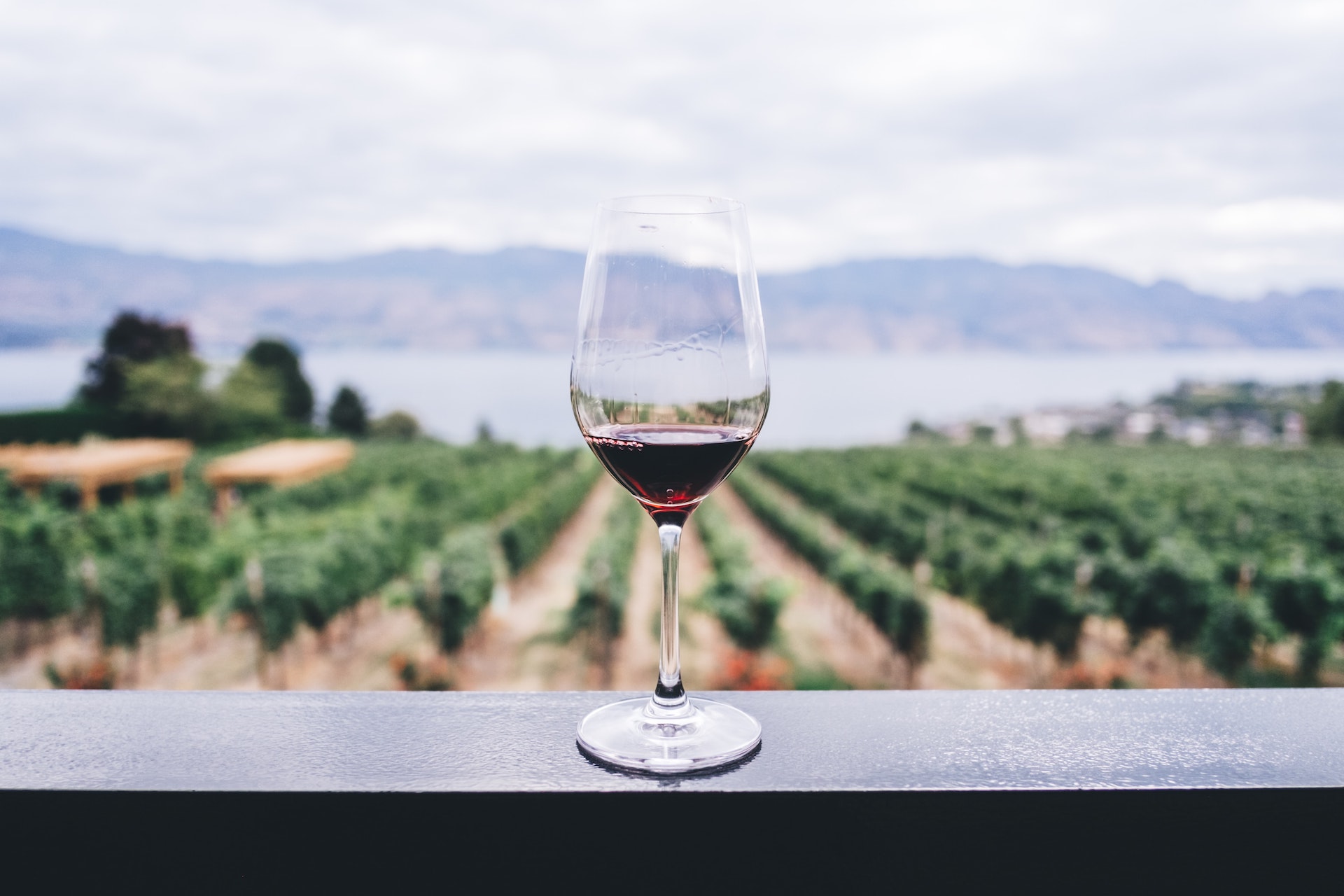 Petrichor Club is the Ultimate Gift For The Wine Lover in Your Life