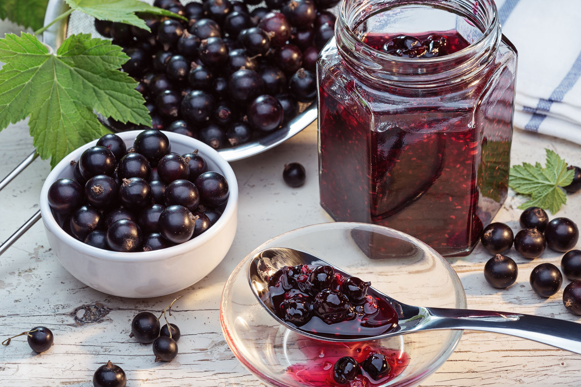 Fruit of the Week: Currants