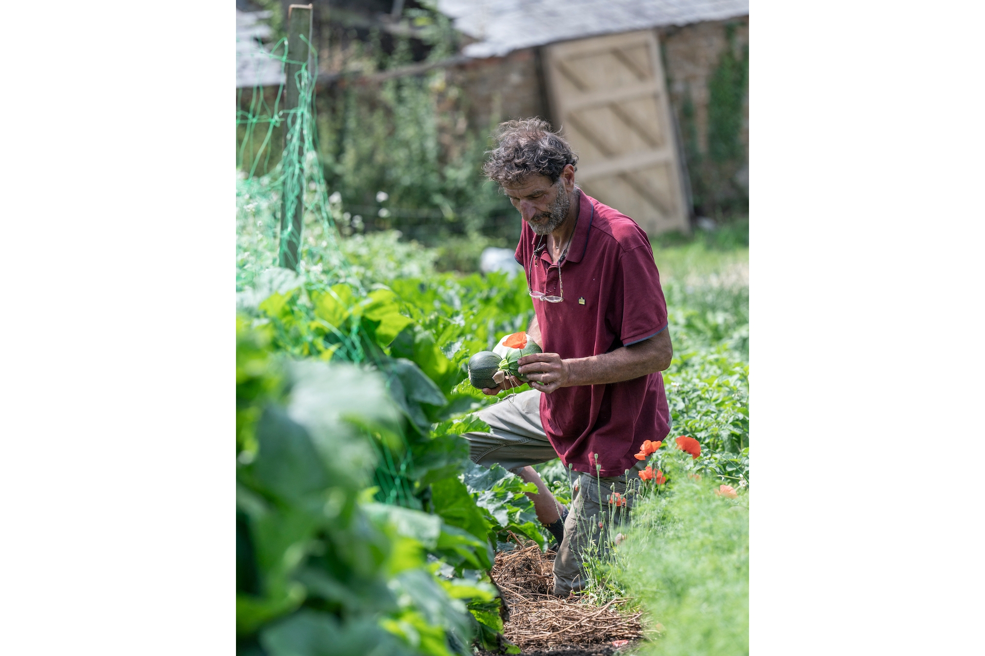 Keythorpe hall gardener