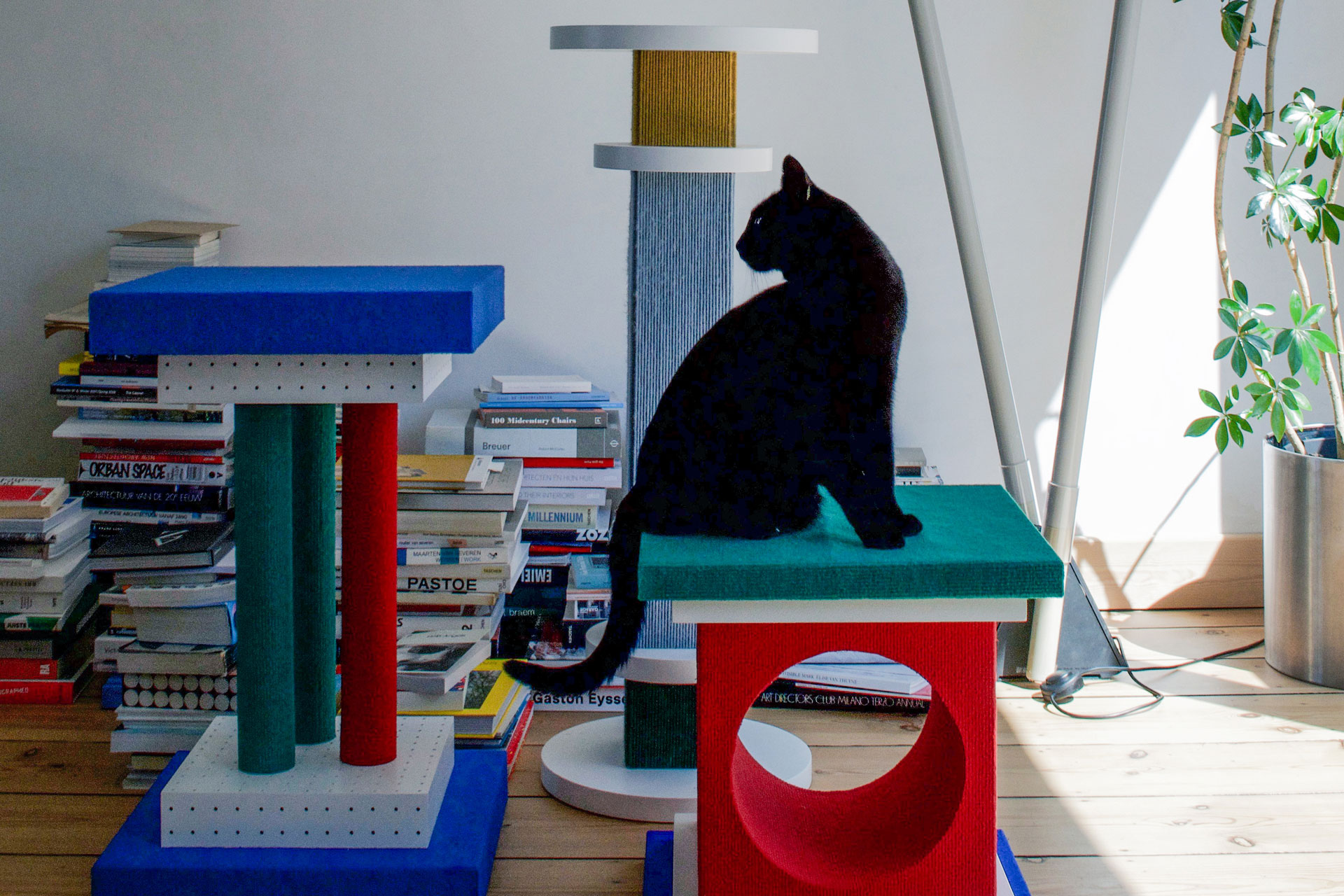 Barkitecture: Why are Pet Interiors Trending?