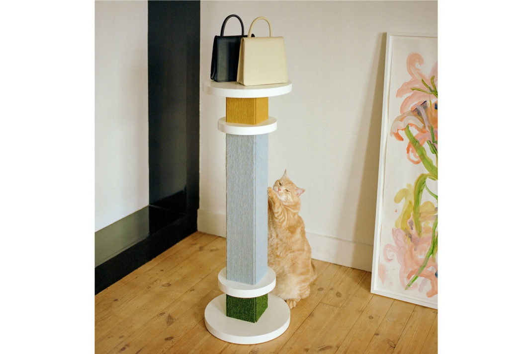 a ginger cat scratches a pillar Axelle Vertommen