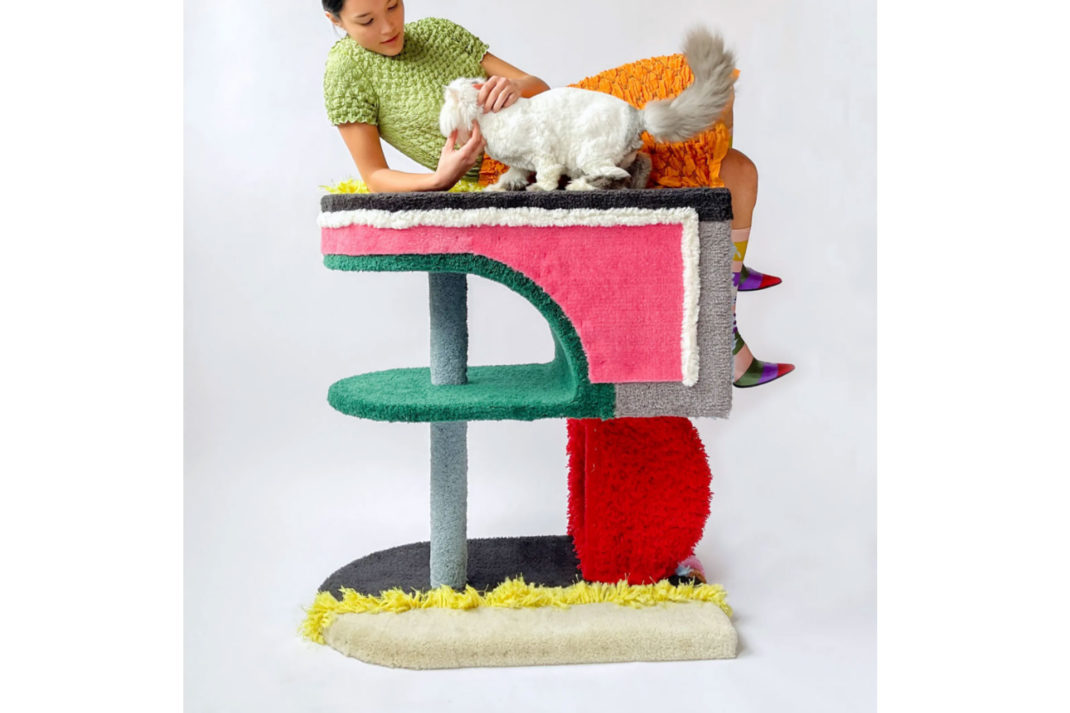 a lady wearing a brightly coloured outfit plays with a cat on a brightly coloured scratch toy