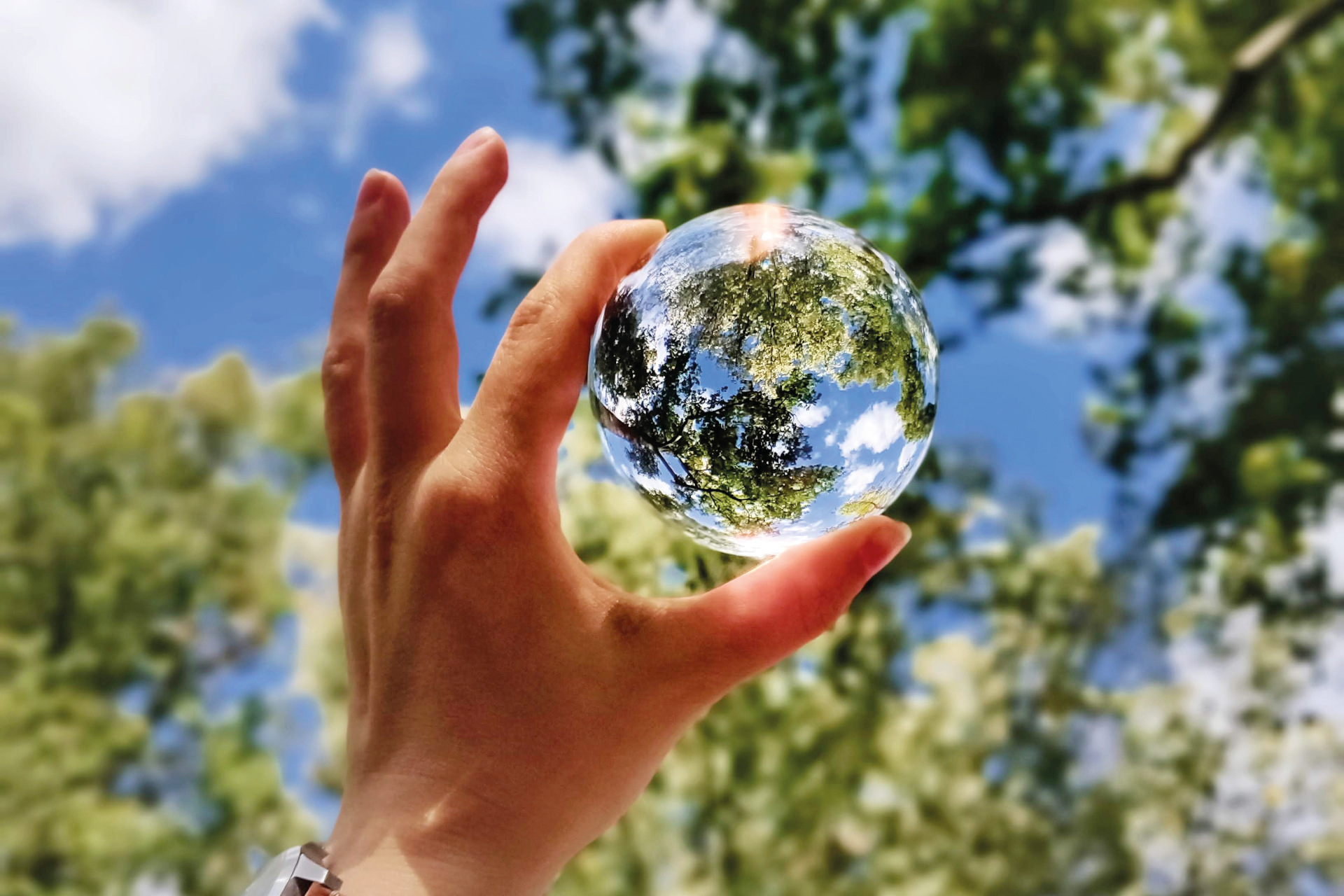 The Positive Disruptor: Learning from Nature