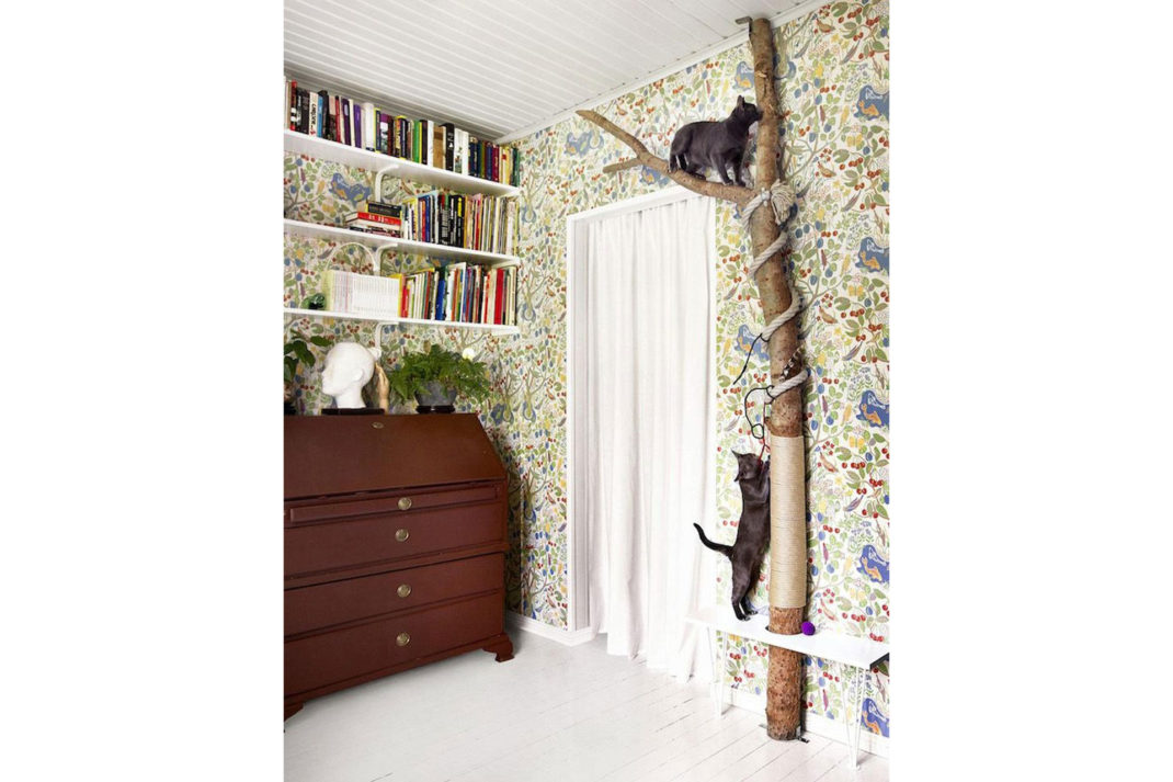 Cat tree scratcher pinterest wood