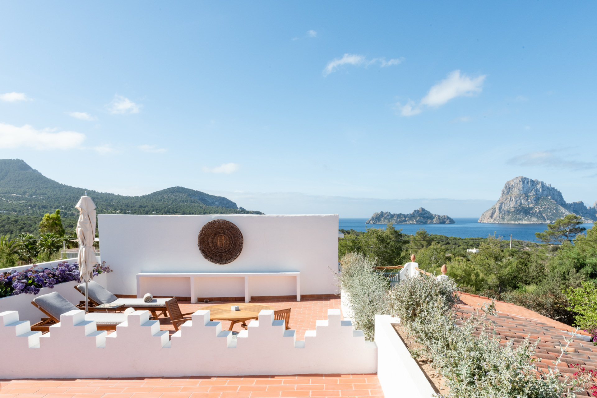 Review: Petunia Ibiza