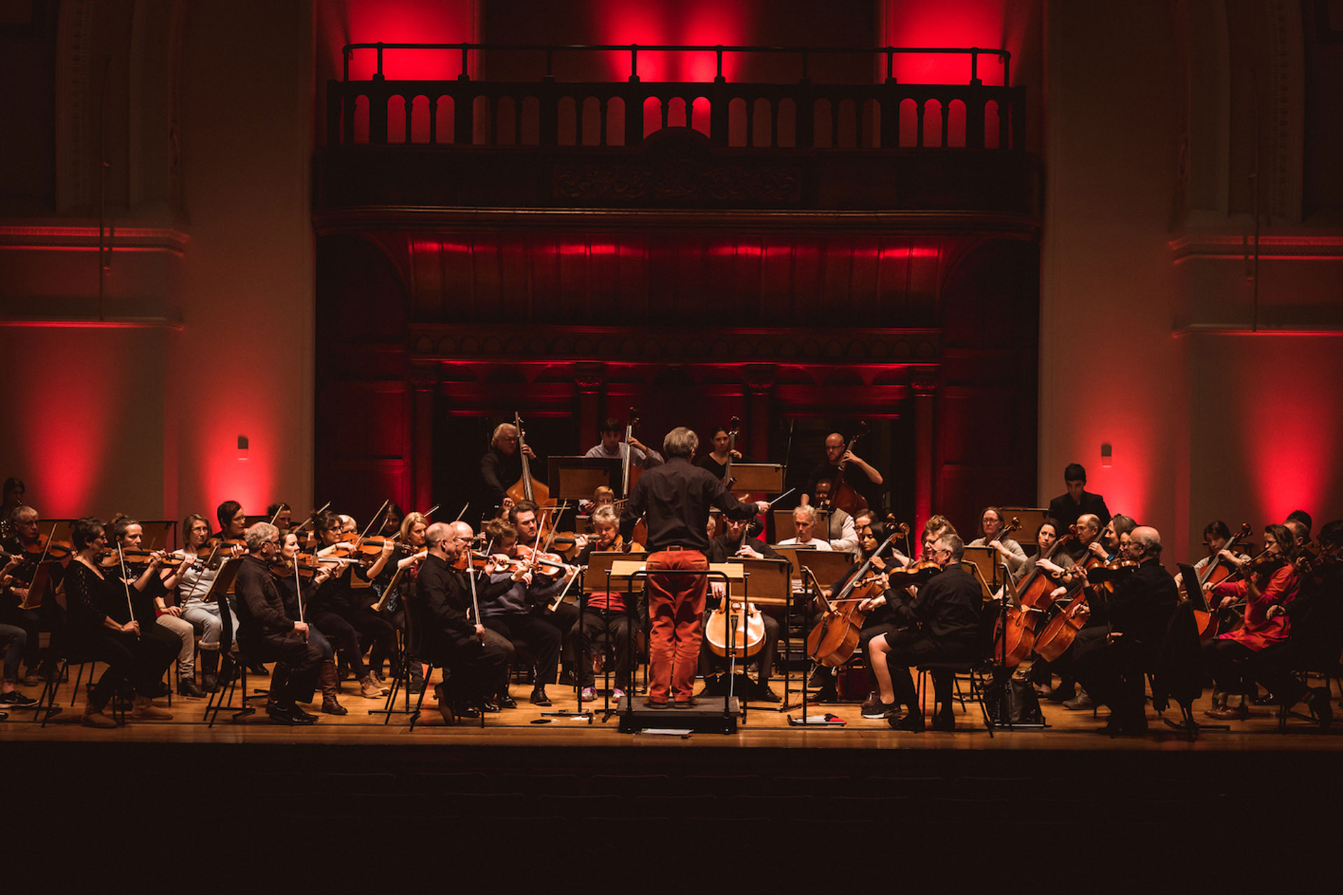 The Doctor’s Orchestra is Back with a Charity Concert
