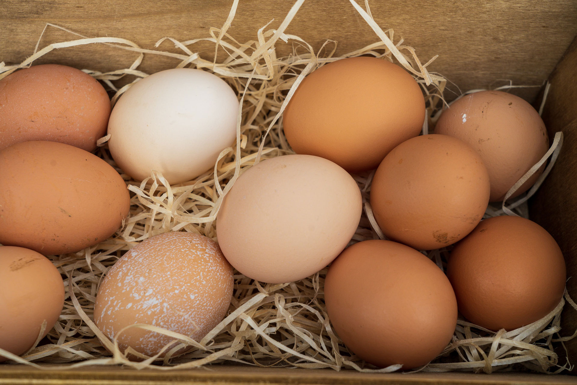 Eggs