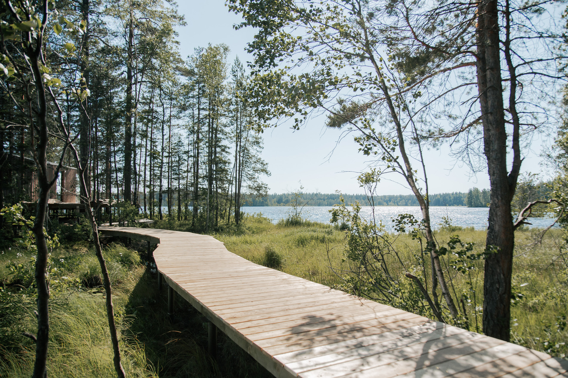 Brown Wooden Bridge Near the Lake