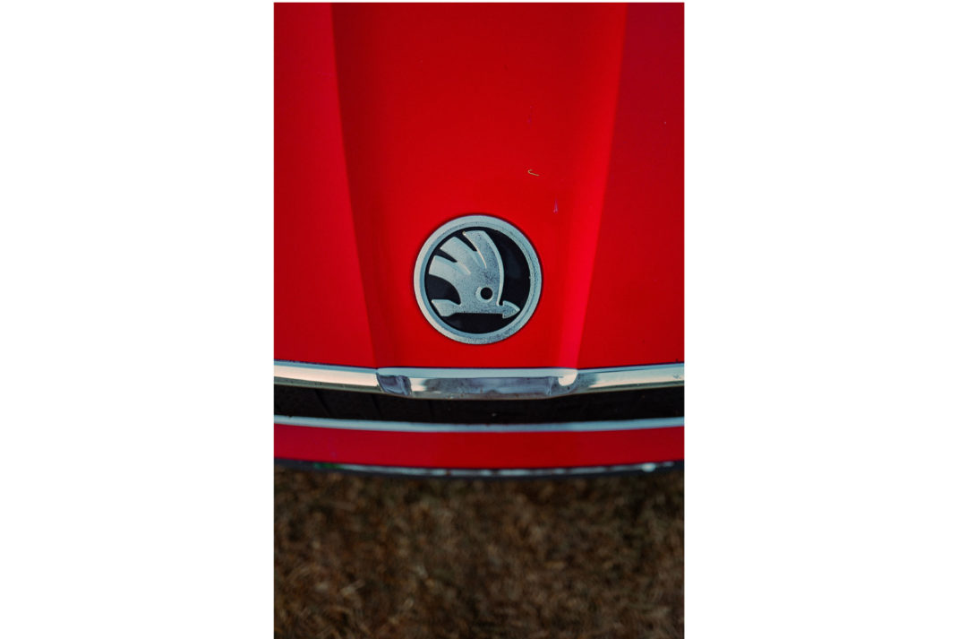 a close up shot of the Skoda symbol on the bonnet of the car