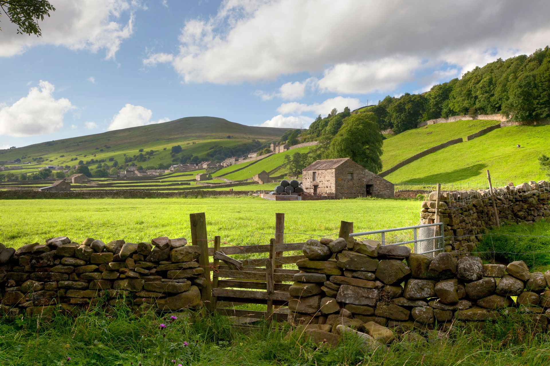 Food and Farming with the Jefferies: Organic September