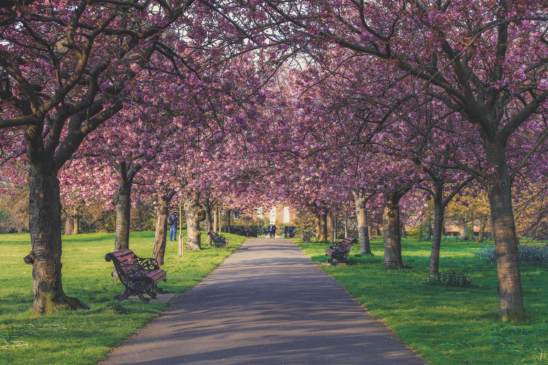 What To Do in London Throughout The Year