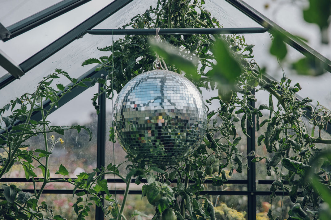 a disco ball in a greenhouse, by Poppy Okotcha