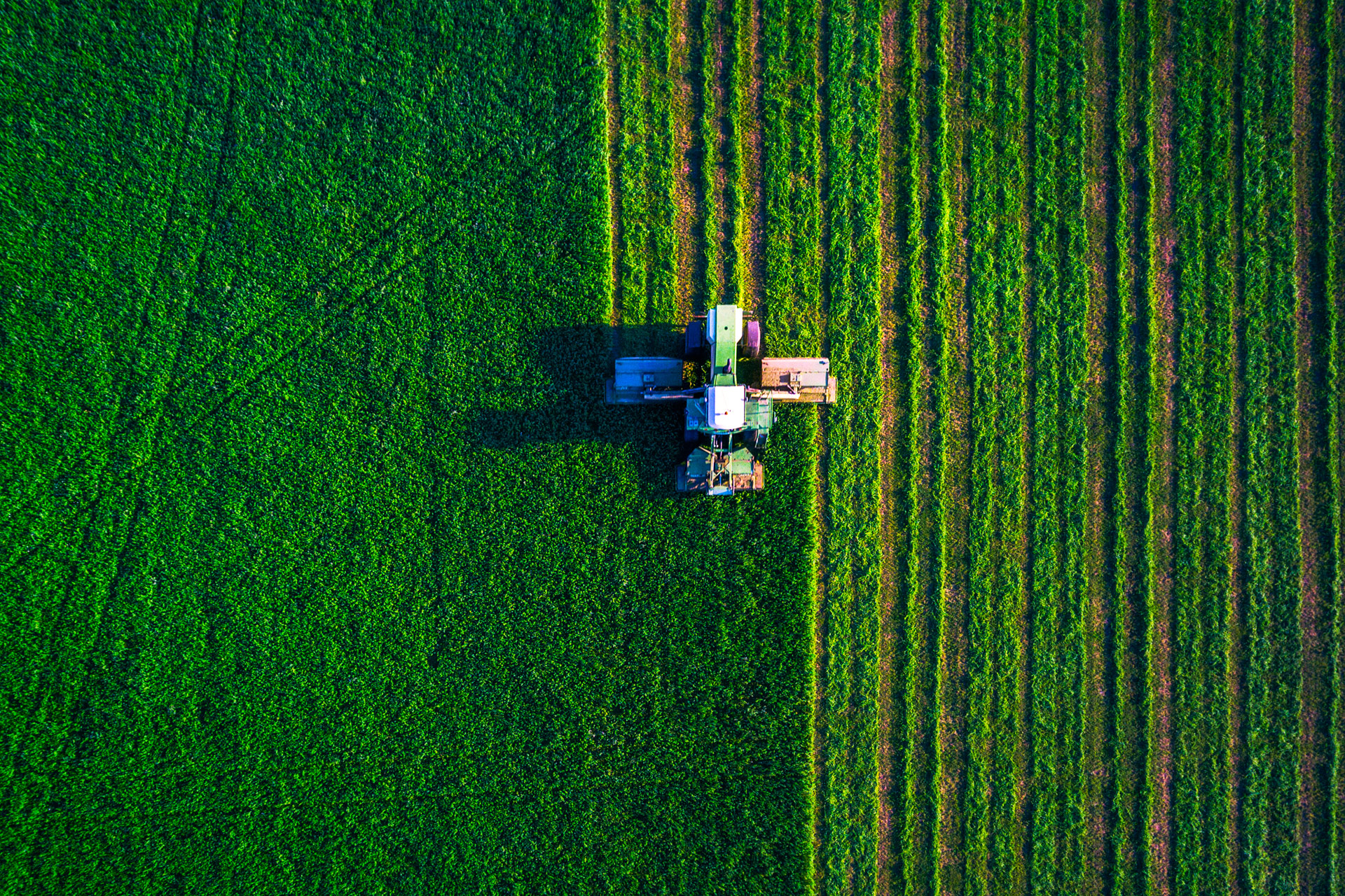 Tractor mowing a farm