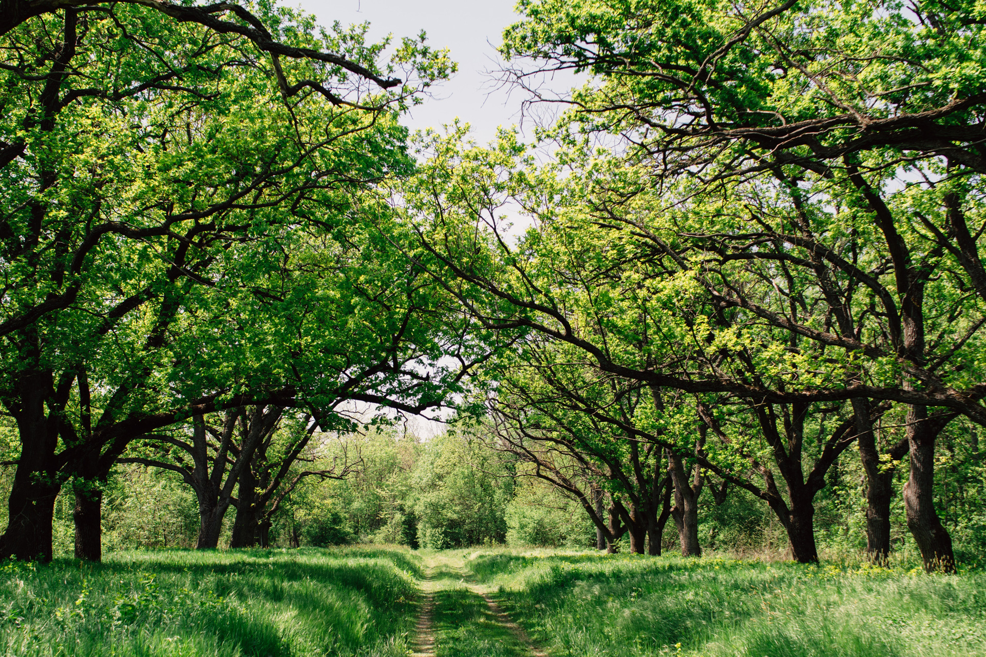 What Is The People’s Plan For Nature?