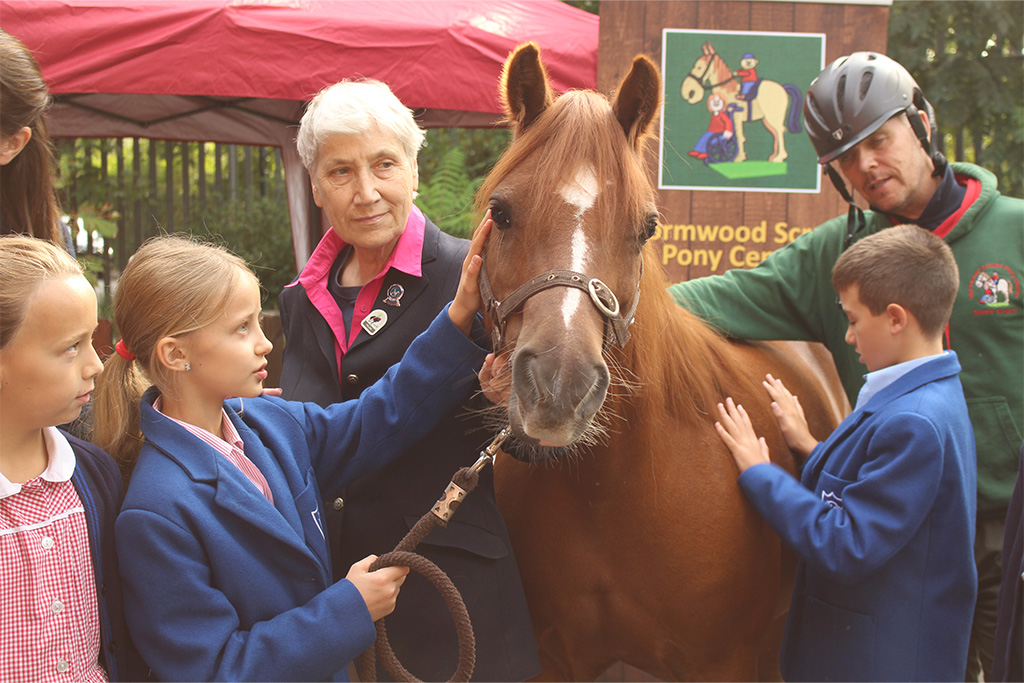 Bassett House Partners with Wormwood Scrubs Pony Centre