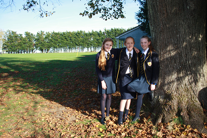 Boundary Oak