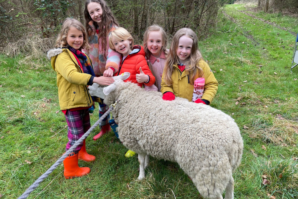 The Cunningham children on set with a sheep