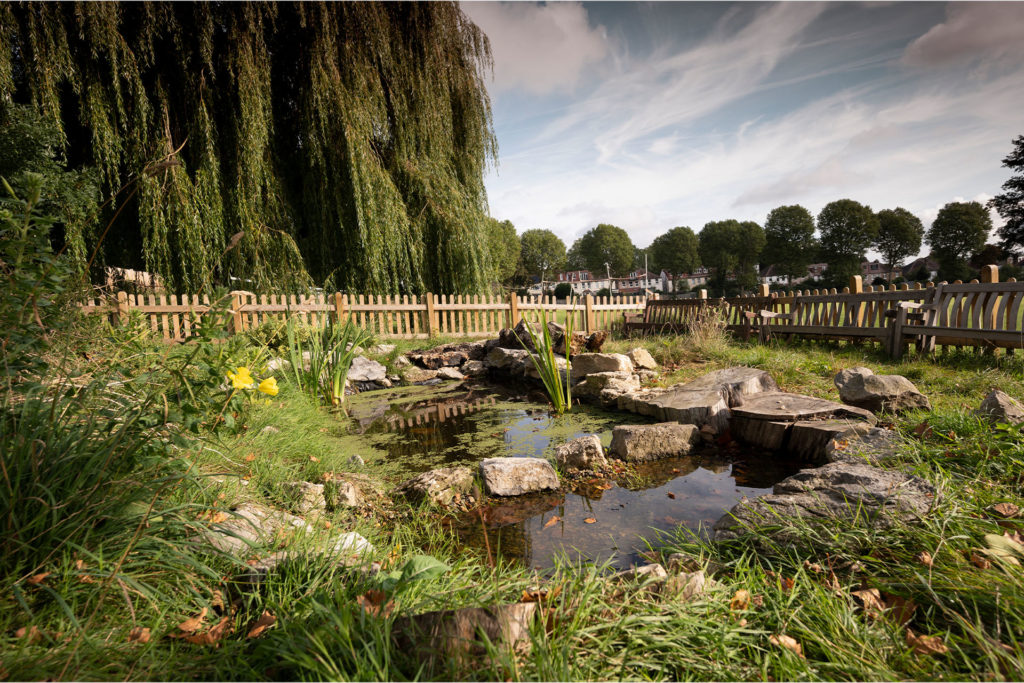 Senior School Ecology Pond