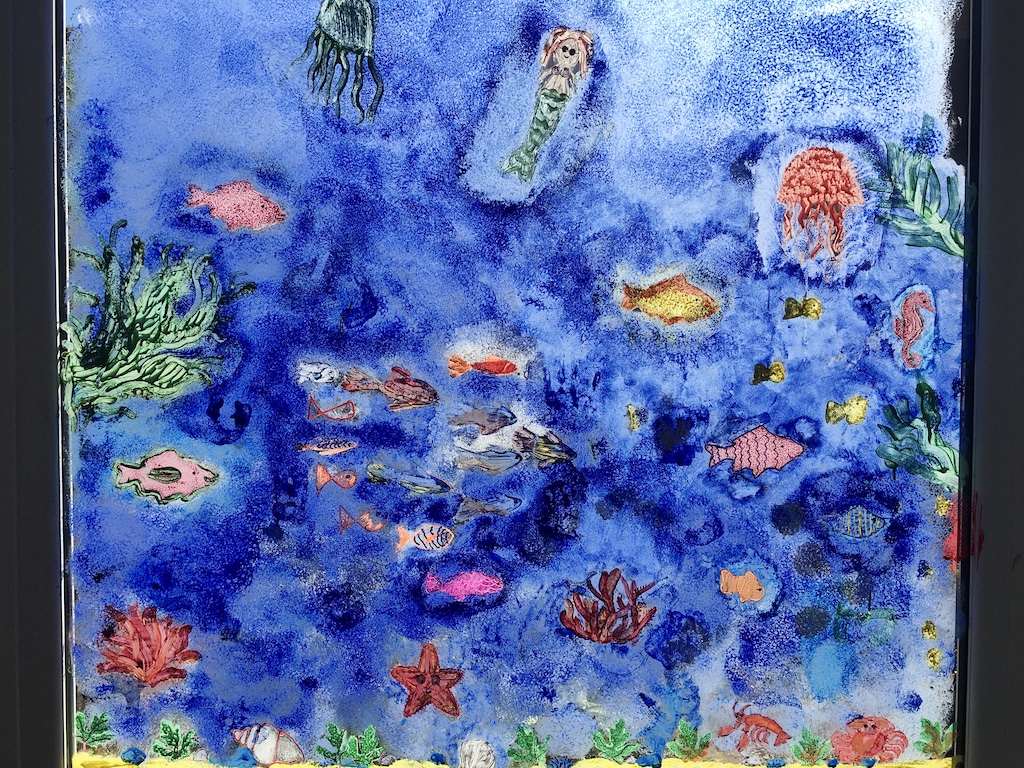Biodiversity Bonanza at Kilgraston School