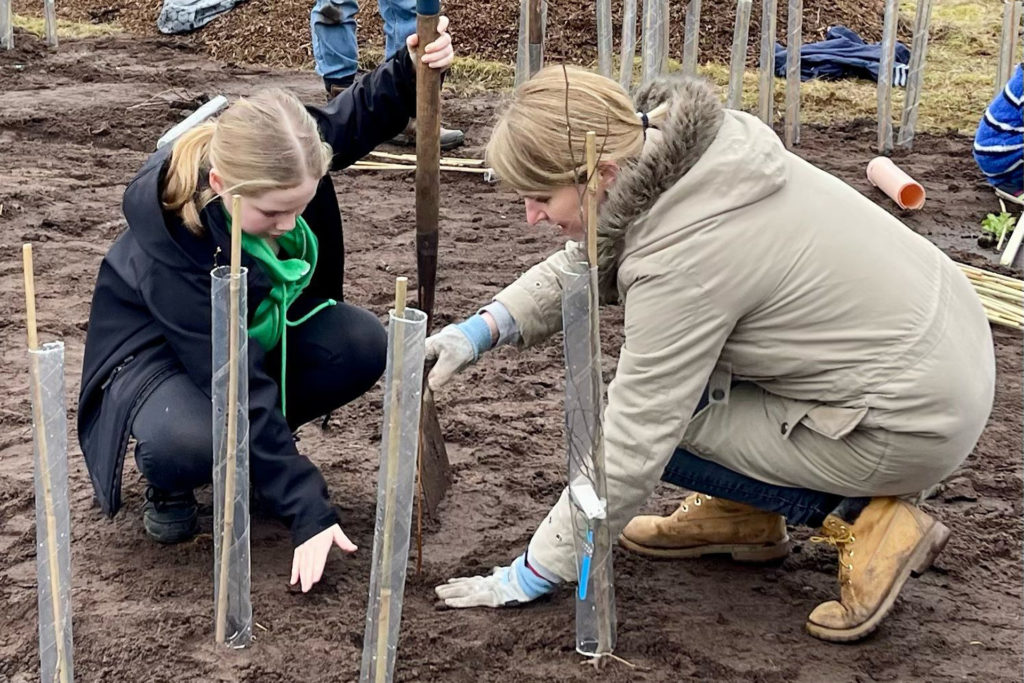 1975 sponsored the planting at their old school