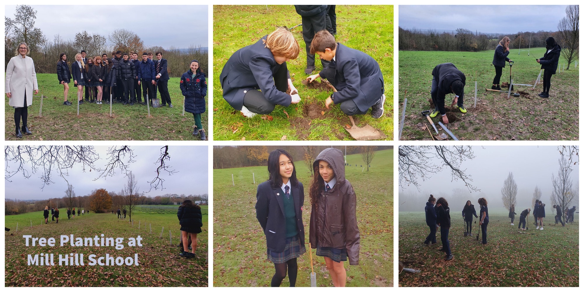 Fantastic Tree Planting & More at Mill Hill School