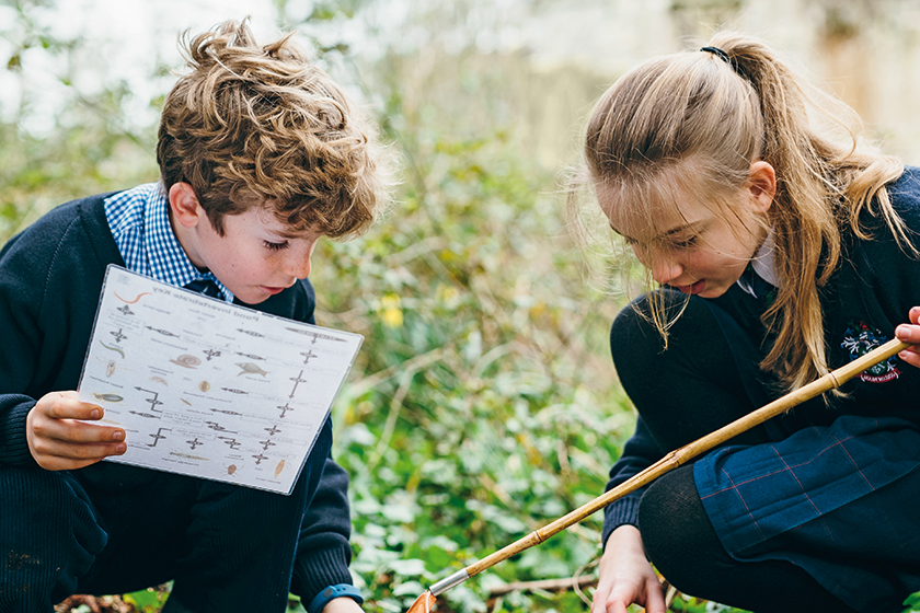 It's Out With The Old And in With The New For Primary Education