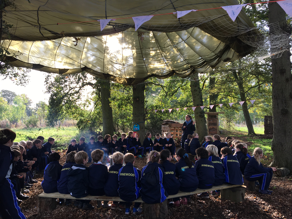Pinewood's New Outdoor Classroom
