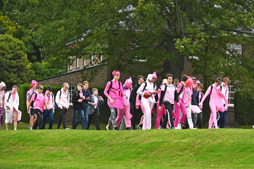 breast cancer pink