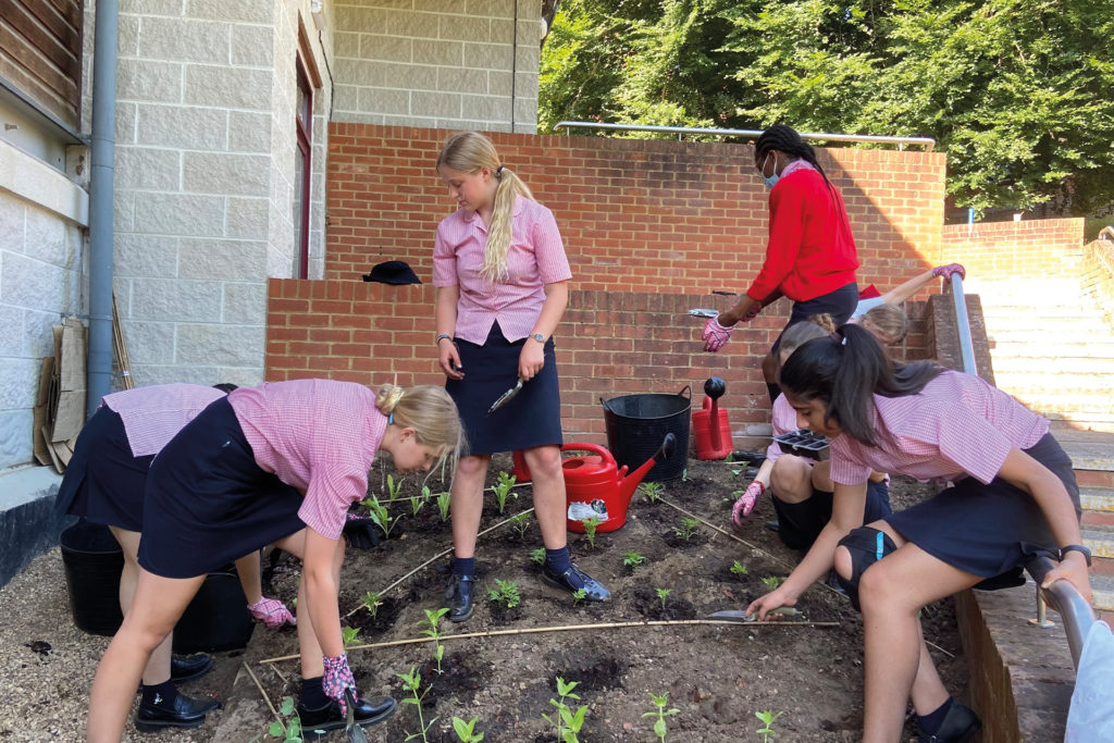 Gardening at St George’s Ascot