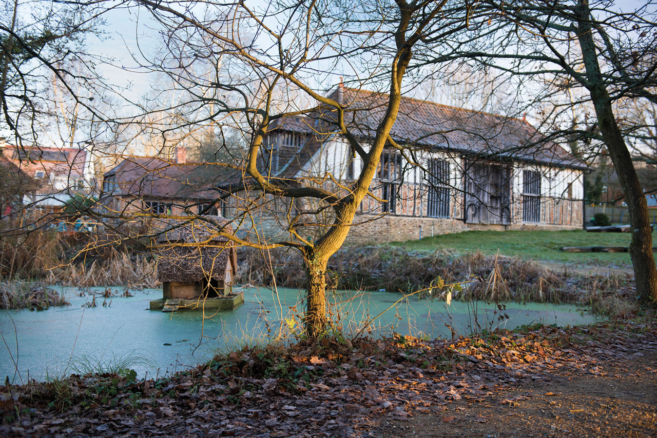 School Memories: An Unconventional Education at Bedales