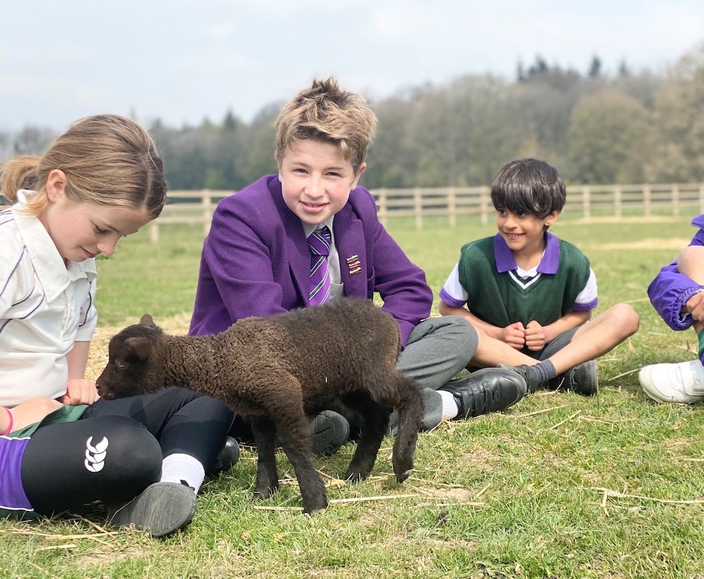 York House School Welcomes In Spring