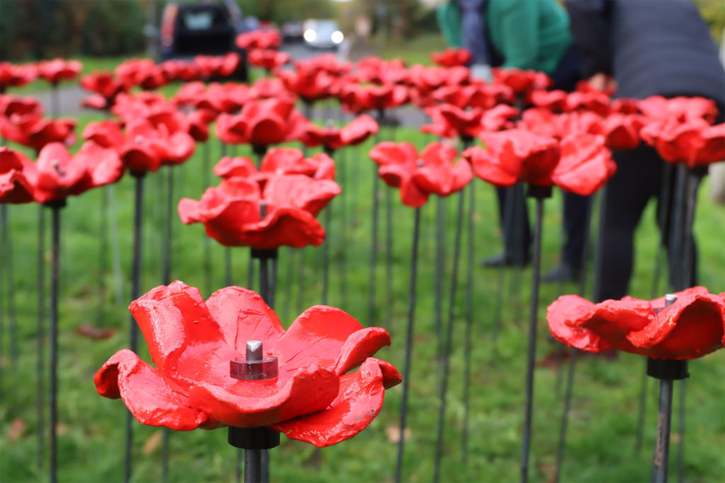 Remembrance poppies made by The Beacon and Heatherton pupils