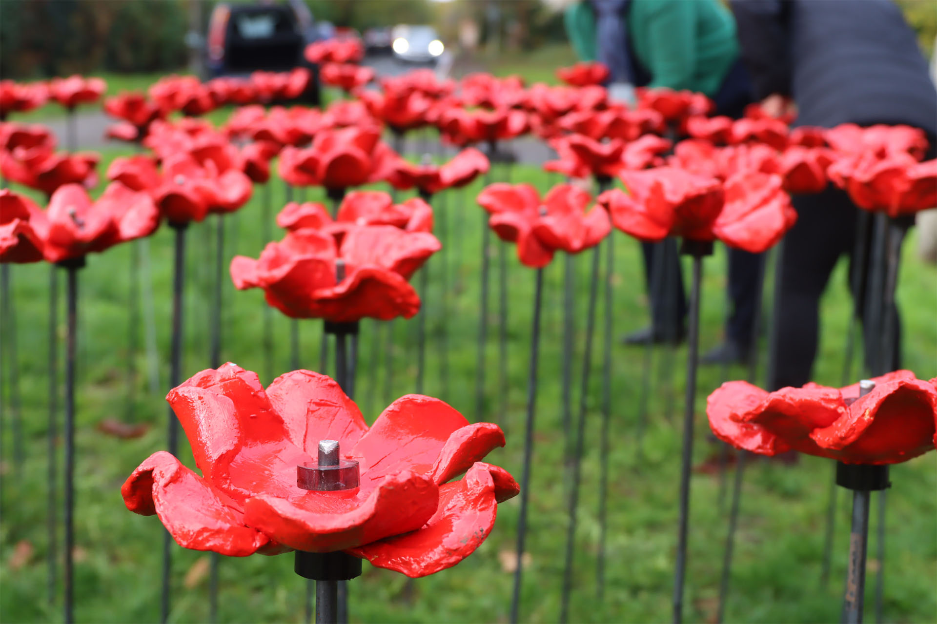 The Beacon and Heatherton Schools Collaborate For Remembrance