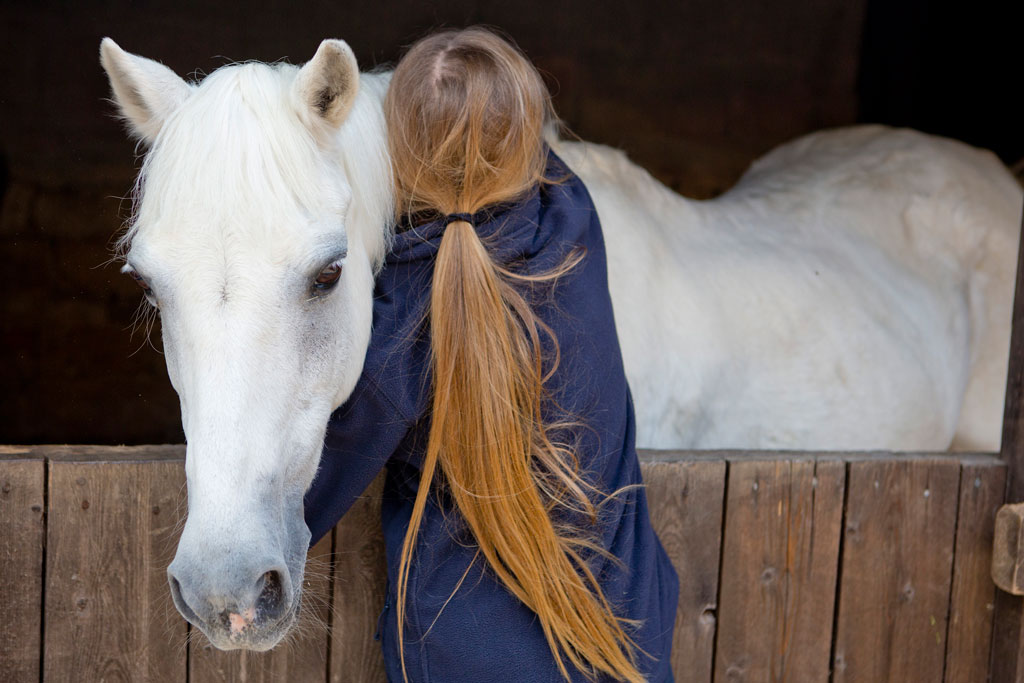 How animals can help those experiencing mental health problems