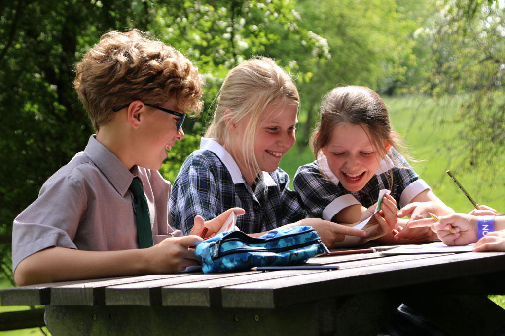 Edgeborough School
