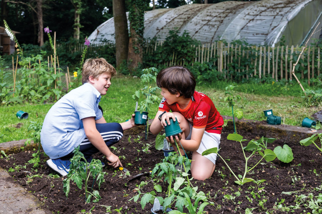 Ludgrove kitchen garden
