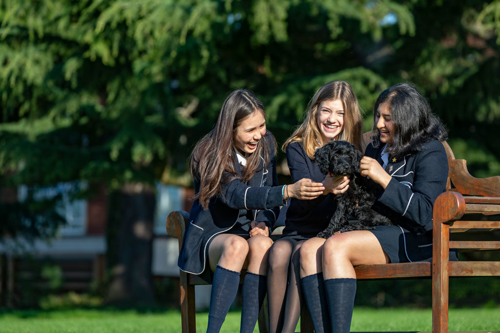 mental health in schools