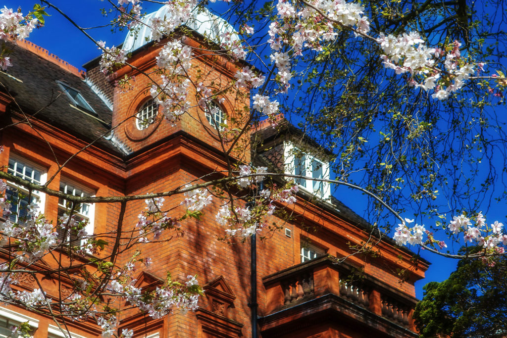St Mary's School, Hampstead