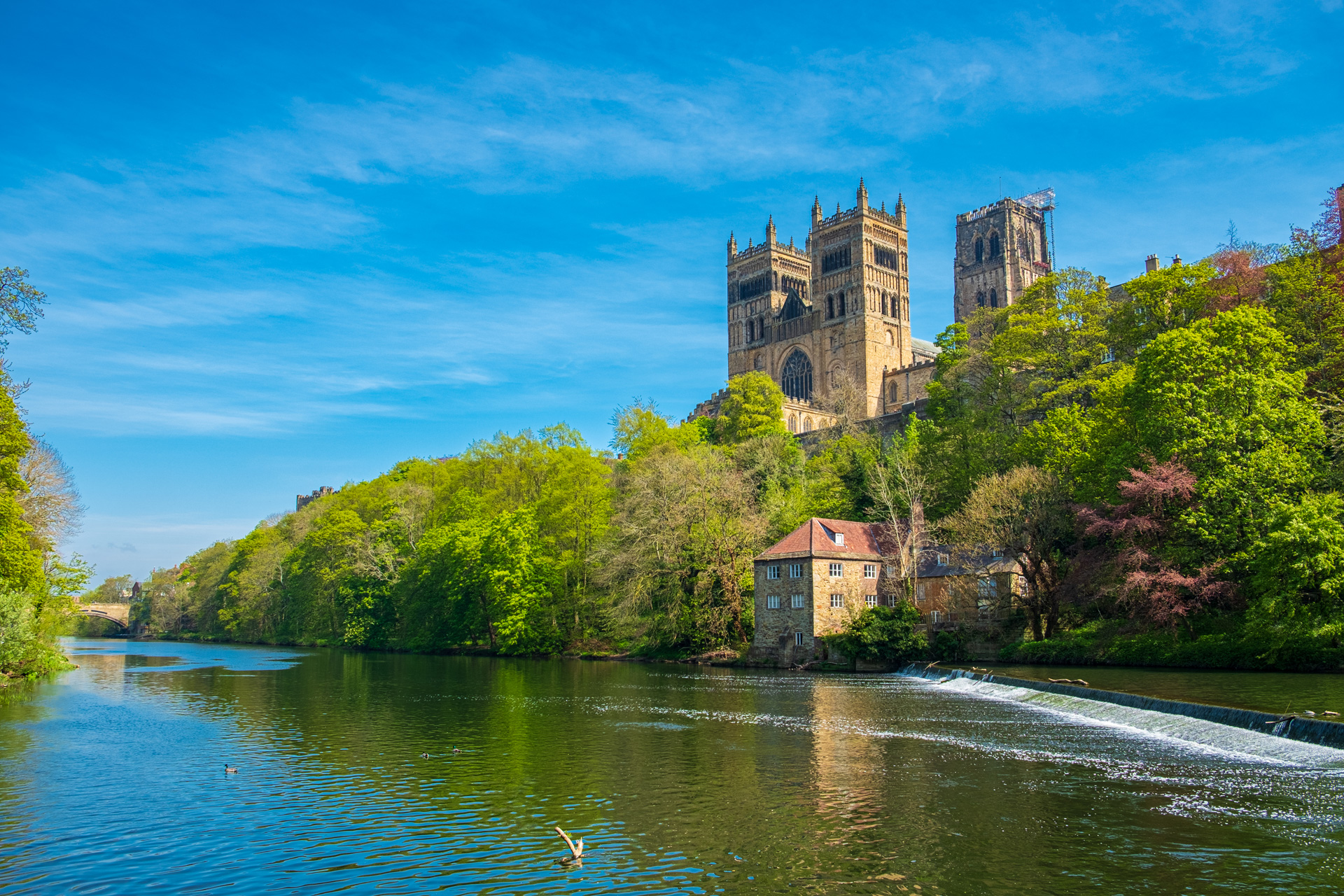 A Chef’s Guide To Durham