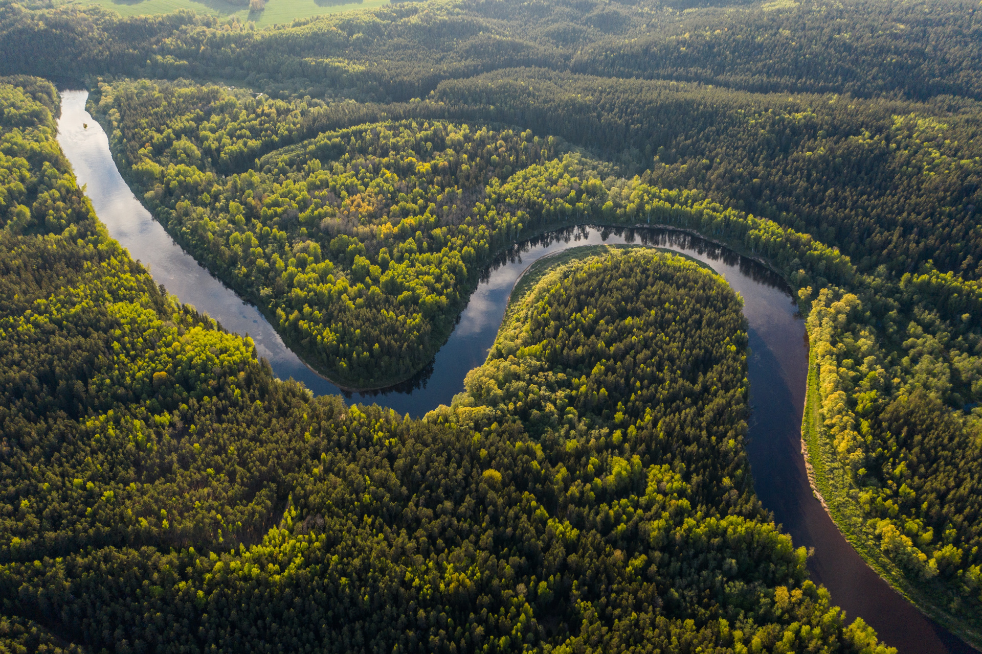 Why You Need To Pay Attention To The Amazon Summit